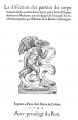 Thumbnail for version as of 08:22, 2 January 2019