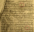 Thumbnail for version as of 13:12, 25 January 2021