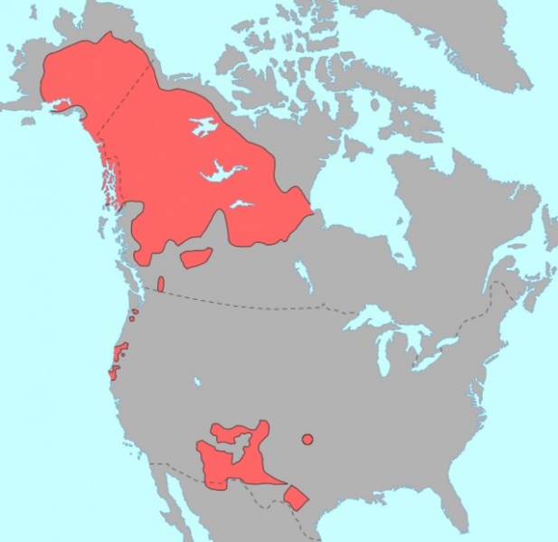 File:Na-Dene langs.jpg