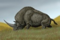 Thumbnail for version as of 02:30, 14 September 2009