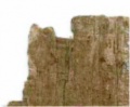 Thumbnail for version as of 10:13, 9 September 2025