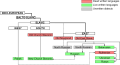 Thumbnail for version as of 10:16, 1 December 2012