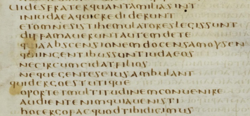 File:Acts 21.21 Codex Bezae Latin.JPG