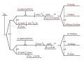 Thumbnail for version as of 12:29, 13 May 2020