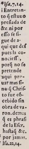 Marginal note at Matthew 1:23 in the 1569 Spanish Bear Bible