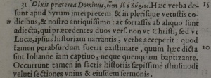 Footnote at Luke 7:31 in the 1588 New Testament of Beza