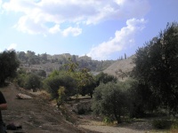 Valley of Hinnom, 2007