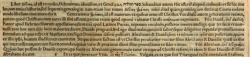 Annotations concerning Matthew 1:1 in the 1556 Latin New Testament of Theodore Beza