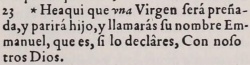 Matthew 1:23 in the 1569 Spanish Bear Bible