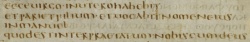 Matthew 1:23 in Latin in Codex Bezae