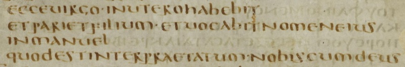 Image:Matthew 1.23 Codex Bezae Latin.JPG