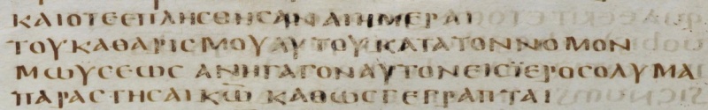 Image:Luke 2.22 Codex D page 361.jpg