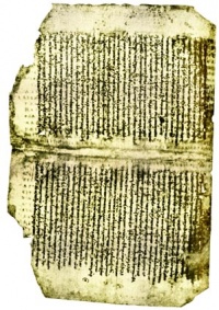 Codex Dublinensis