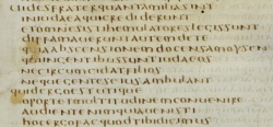 Acts 21:21 Codex Bezae Latin