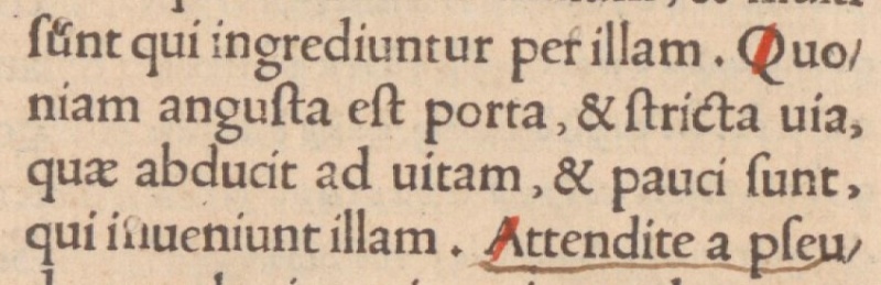 Image:Matthew 7 14 Erasmus 1516 Latin.JPG