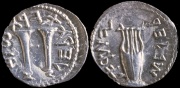 Coin from Bar-Kokhba Revolt demonstrating Paleo-Hebrew