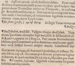 Matthew 10:25 in Beza's 1598 Greek New Testament Annotations