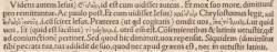 Annotations concerning Matthew 9:4 in the 1516 Greek and Latin New Testament of Erasmus