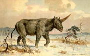 Elasmotherium by Heinrich Harder