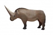 Elasmotherium as the "zhi"