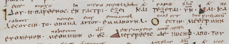 Image:Matthew 1.23 Codex Delta.JPG