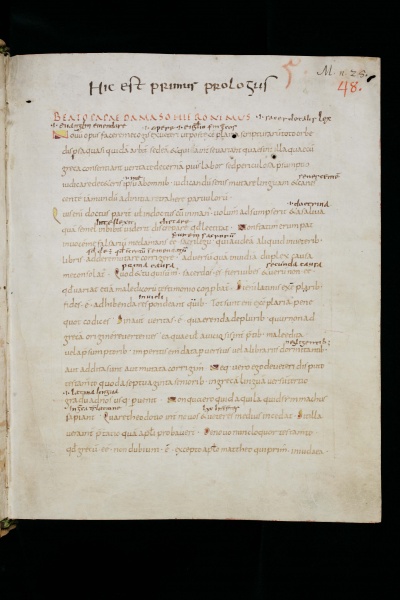 Image:Codex Sangallensis 48 005.jpg