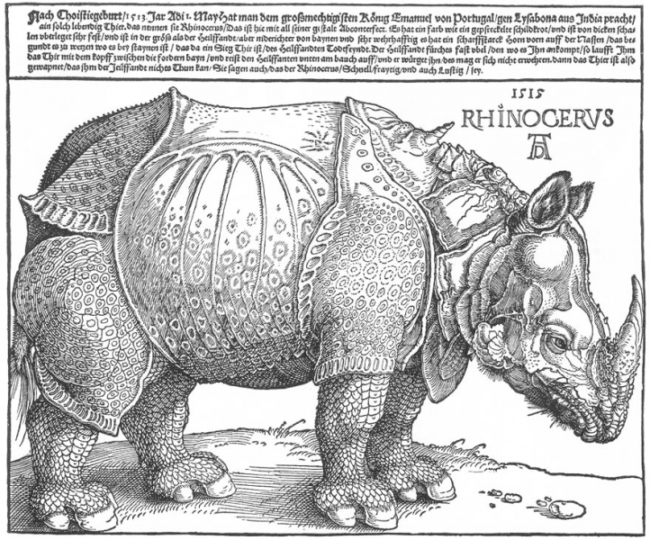 Image:Rhino full.png