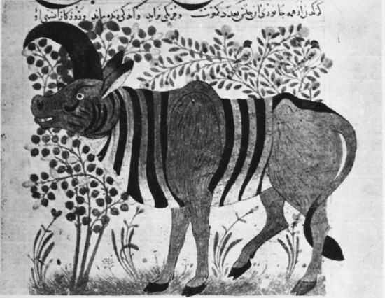 File:Persian Bestiarium Rhinoceros Unicornus.jpg