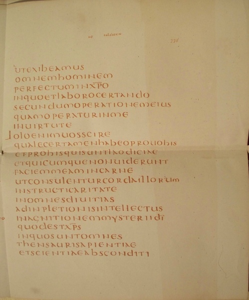 File:Codex claromontanus 2 latin.jpg