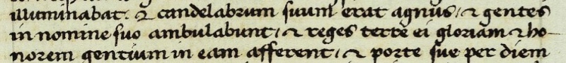 File:Revelation 21.24 Giannozzo Manetti.jpg