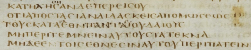 File:Acts 21.21 Codex Bezae Greek.JPG