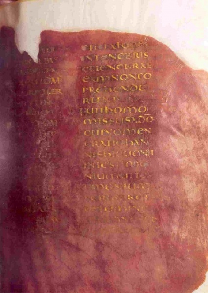 Image:Codex Veronensis.jpg